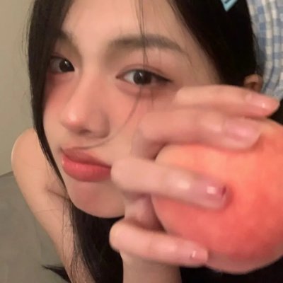 完美的独裁国家